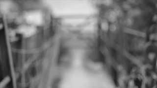 Beresford Hammond - The Path, the Bridge, the Otherside