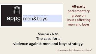 APPG Men&Boys:  Seminar 'The case for a violence against men and boys strategy VAMB.'