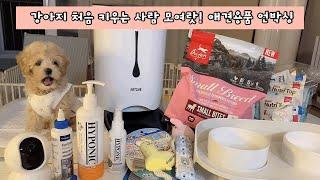 2개월말티푸 애견용품 언박싱 / 내돈내산 택배 같이 뜯어요