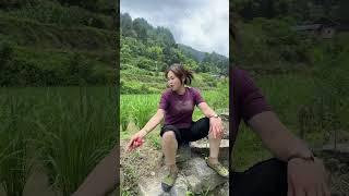 明明可以很洒脱#这就是农村的真实生活 #农民生活记录