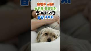 불면증 극복! 숙면을 유도하는 밤 10시 이전 습관 3가지 #건강정보 #건강관리 #지식 #이슈 #꿀팁 #skincare