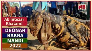 Deonar Bakra Mandi 2022 | Super Hit Update Vlog by Narkar Bros