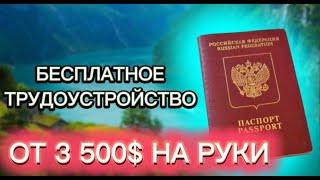 ️РАБОТА ЗА ГРАНИЦЕЙ ДЛЯ РУССКИХ 2023 | Бесплатные Вакансии! РАБОТА В НОРВЕГИИ ДЛЯ РУССКИХ