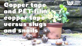 Copper Tape Or PET Copper Tape Against Slugs And Snails