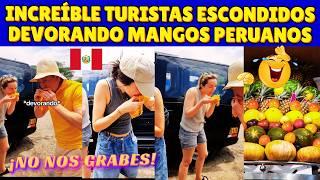 EXTRANJEROS SE VIRALIZAN AL SER DESCUBIERTOS DEVORANDO MANGOS PERUANOS