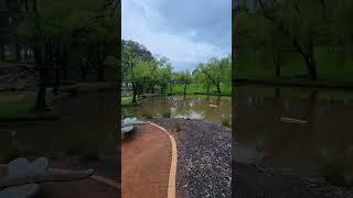 Garden after rain