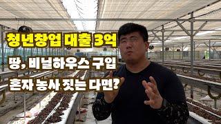 3년차 청년창업농‍ $3억 영끌 대출, 땅 & 하우스 구입, 혼자 운영하는‍️ 현실적인 딸기 스마트팜 농장 리뷰!