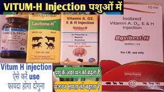 Vet Use:-Vitamin H injectionVitamin h injection