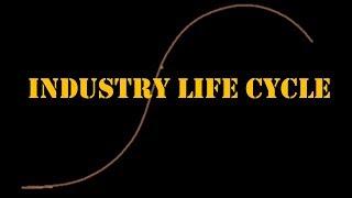 Industry Life Cycle || Strategic Management