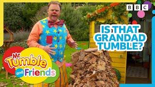 Autumnal Moments  | Grandad Tumble Gets Buried in Leaves?! | Mr Tumble and Friends