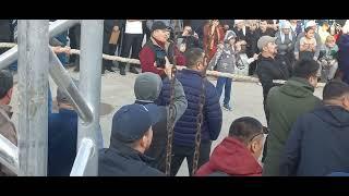 Жаңаөзен наурыз той