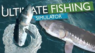 Ice Fishing Baikal Sturgeon in Ultimate Fishing Simulator!