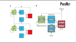 A neural network trained for prediction mimics diverse features of biological neurons and perception