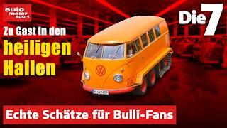 Die seltensten Bullis von VW Nutzfahrzeuge Oldtimer  | auto motor und sport