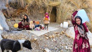 Khadija's fear when she encountered a dog in the mountains and bringing the dog to the hut