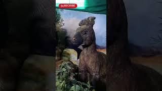 #hippopotamus vs kangaroo statue #short #shorts video