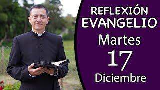 Evangelio de Hoy Martes 17 de Diciembre de 2024  Lectura y Reflexión