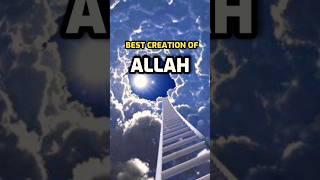 best creation of Allah||Allah Best creation #shorts #islamic #islam #allah