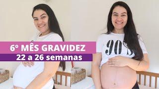 DIARIO DA GRAVIDEZ DO 6º MES   22 A 26 SEMANAS