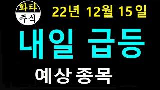 12월15일 내일급등 예상종목 화타TV 주식급등. 내일급등, 135매매. ht30, 대신정보통신, 케이엠, 에이스테크, 메디아나, 윙입푸드,