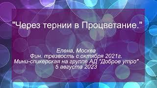 Мини-спикерская АД, Елена Москва, "Через тернии в Процветание."