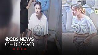 Suspect sought in violent Chicago train robbery of passenger