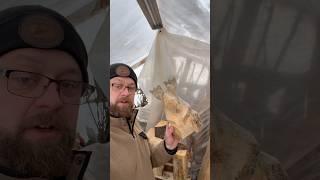 How to carve a moose #chainsawcarving #chainsawcarver #chainsawart #chainsawcarvingtutorial