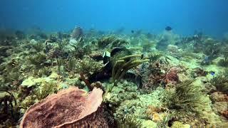 Dive Sandals Resorts