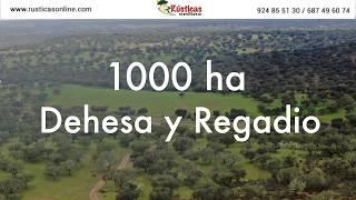 Finca rústica de 1000 ha en Portugal. Dehesa y labor de regadío.