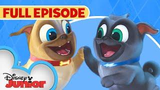 Puppy Dog Pals S1 E1 Full Episode  | Hawaii Pug-Oh ️ / A.R.F. | @disneyjr