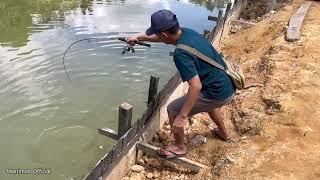 Baru dilempar sudah Nyambar aja ini Ikan ⁉️ Umpan Jitu ikan Air Tawar