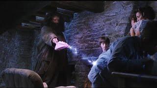 Hagrid visits Harry on his 11th b'day and gives Dudley a pigtail | Harry Potter and Sorcerer's Stone