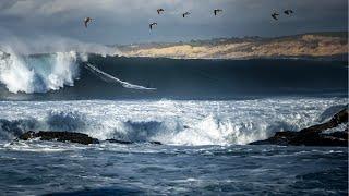 DOUBLE OVERHEAD BARRELS AT BLACK'S BEACH