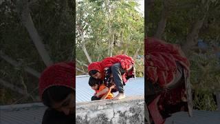 Mama mujhe school nahi jana  Mansi ki school Life #shorts #school #viral #funny