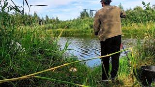 ЛОВЛЯ КАРАСЯ В КАНАЛАХ . КРУПНАЯ ПЛОТВА .РЫБАЛКА ОДНОГО ВЕЧЕРА .