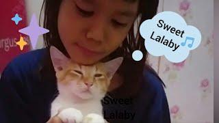 Orange Kitten Lalaby by Cute Lil Girl