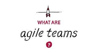 What are Agile Teams?