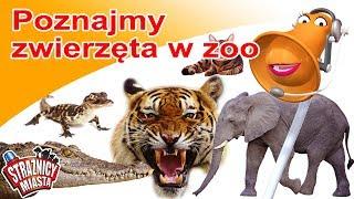 Strażnicy Miasta - Poznajmy zwierzęta w zoo