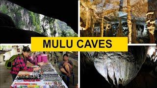 Mulu Caves Sarawak - exploring Lang, Dear, Wimd, Clearwater Cave & watch the bats' exodus