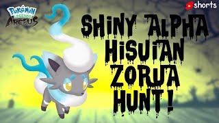 WE FOUND SHINY ALPHA ZORUA! 47 Permutations! [Pokemon Legends: Arceus] #shorts