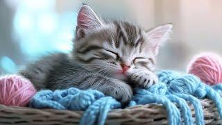 Calming Music for Anxious Cats: Soothing Sounds for Deep Relaxation and Sleep