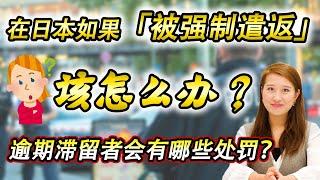 在日本如果「被强制遣返」该怎么办？逾期的非法滞留者会有哪些处罚？