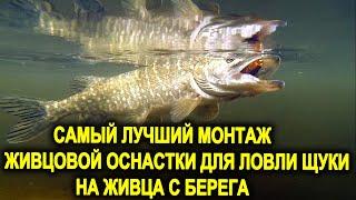 САМЫЙ ЛУЧШИЙ МОНТАЖ ЖИВЦОВОЙ ОСНАСТКИ ДЛЯ ЛОВЛИ ЩУКИ НА ЖИВЦА С БЕРЕГА 2023