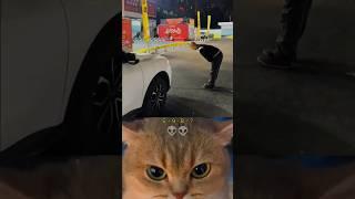 Men Aura  #shorts #cat #bombastic