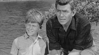 Why Ron Howard's Father and Andy Griffith Were Not Great Friends