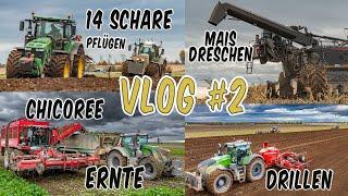 Vlog #2  NEXAT drischt Mais / Agrifac  HEEX TRAXX erntet Chicoree / Pflüge bereiten das drillen vor.