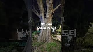 서울서초구 남서낭허공기도터