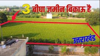 3 बीघा जमीन बिकाऊ है ( Land For Sale )  Nainital Uttrakhand |