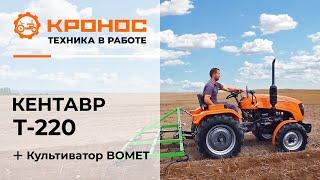 Обзор: Минитрактор Кентавр Т-220 (Toyokawa) и культиватор BOMET в работе