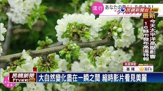 平凡時刻縮成精彩瞬間 縮時影片風靡日本－民視新聞